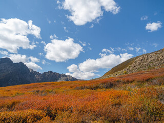 Minimalistic colorful mountain scenery with slope of hill in golden sunlight in autumn time in pastel tones. Amazing golden light and shadow on the rock in autumn steppe. High-altitude plateau