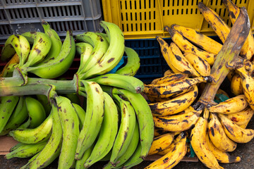 Ripe and green bananas in the traditional Colombian market - Musa × paradisiaca © Luis Echeverri Urrea