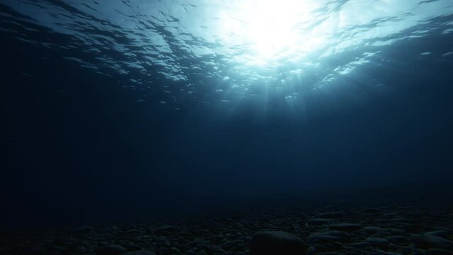 Sea depths in the moonlight