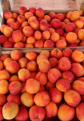 Fruits and berries are sold at the market