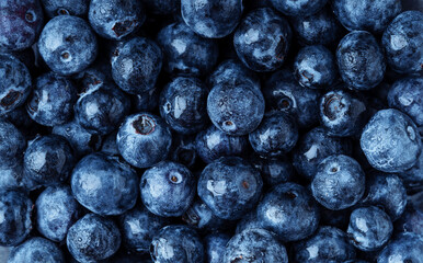 Blueberry texture background. Top view.