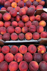 Fruits and berries are sold at the market