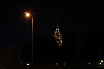 christmas tree in the city
