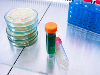 On the metal surface of a laboratory sterile cabinet there is a test tube with a green substance, next to it is a stack of Petri dishes