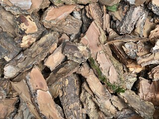 Dry tree bark pieces