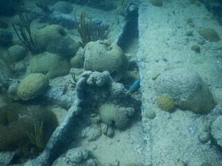 Undersea