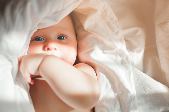 Cute little baby in the blanket. Infant Awake. Adorable child in the bed.