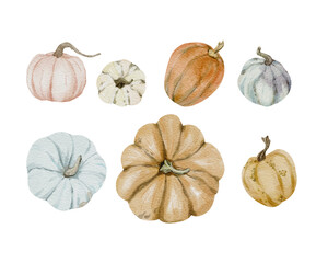Watercolor set of pumpkins isolated on white background