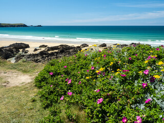 Beautiful Fistral Beach in Newquay on the North Cornish coast.