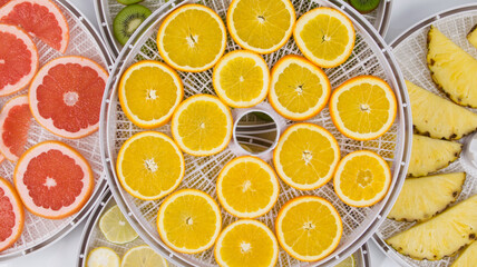 close-up, in round grids, sliced fresh fruit,pineapple, kiwi, orange, grapefruit and lemon, for further drying, top view