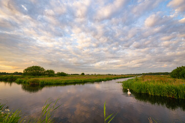 Tranquilizing scene of soft clouds over calm water in the Dutch polder landscape in the golden hour before sunset