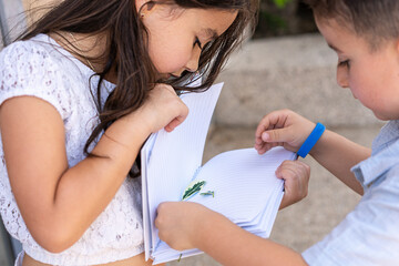 Children arrange flowers onto the pages of a notebook for making pressed flowers.