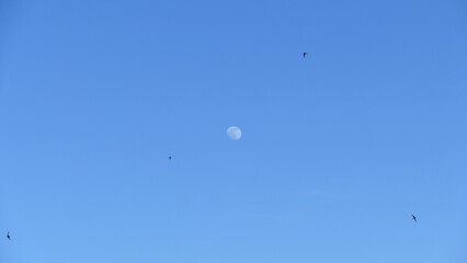 Paesaggio