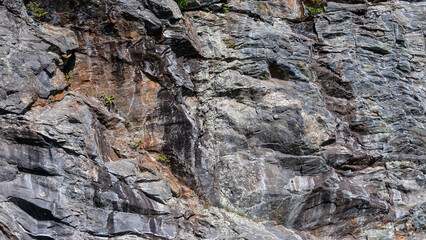 Nature Abstract: Pattern Created by Cracks and Crevices in a Solid Rock Wall