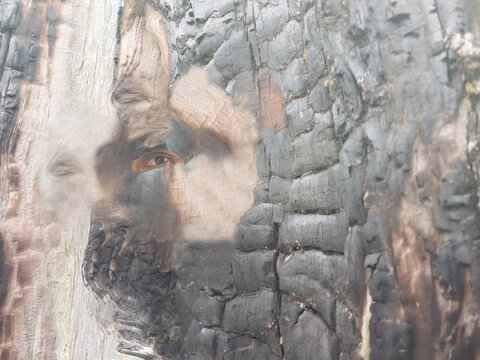 The Burned State Of A Tree Struck By Lightning And A Detail Of An Eye Looking From The Background