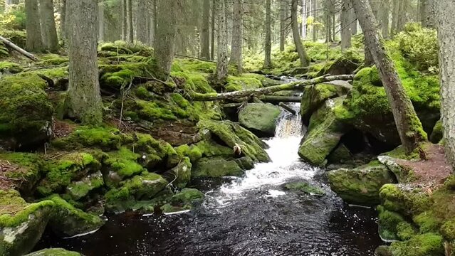Little falls on Filipohuťský creek near the village Modrava.