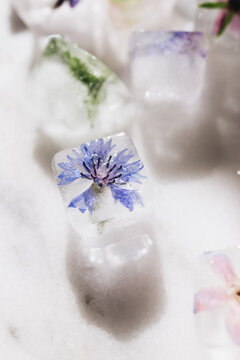 Ice cubes with flowers