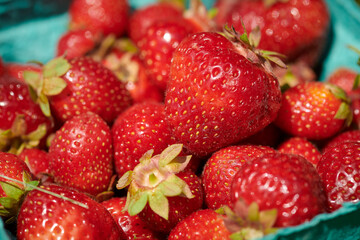 strawberries up close