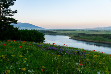 Beautiful panoramic landscape.  Colorful flowers, forest and beautiful river  at the sunrise.
