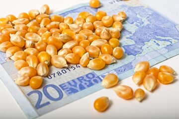 'Food inflation concept with corn kernels  covering twenty Euro banknote'