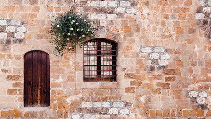 Old door with window and flowering caper bush on stone wall, horizontal background.