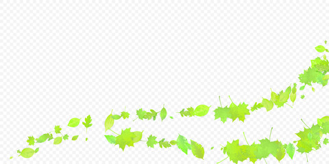 Leaves Falling Spring Flying Foliage Green Leaf