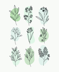 Realistic hand-drawn herbs & wildflowers. Vector - obrazy, fototapety, plakaty