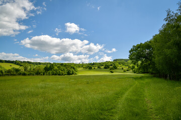 Beautiful green meadow above small village of Kuchyna at the edge of Little Carpathians