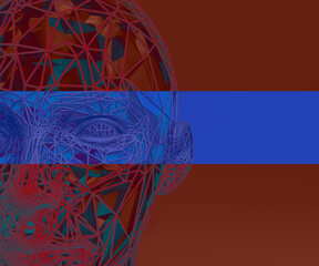 virtual head © neurostructure