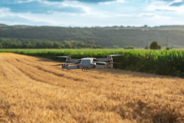 Fototapeta na wymiar Wheat field and corn crop land, concept of using drones in agriculture