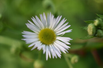 Obraz premium Camping Russeltown 24 Au 26 Juin 2022