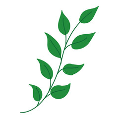 Isolated green nature leaf icon flat design Vector