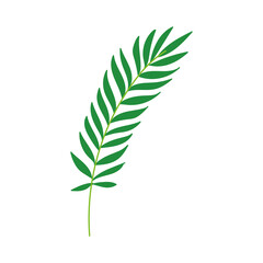 Isolated green nature leaf icon flat design Vector