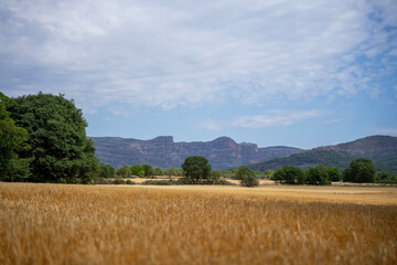 Obraz premium landscape with mountain
