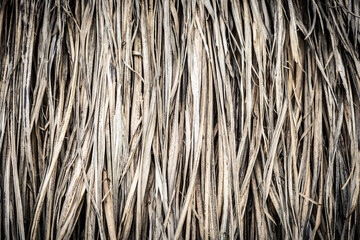 Long dry thin grass, agriculture harvest, pile of hay straw. Texture detail. Association brittle lifeless damage diseased hair. Thatched background wallpaper. Shades of gray brown more tone in stock