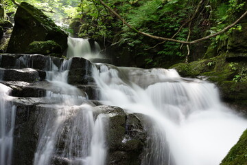 Fototapeta premium waterfall in the Oirase Gorge 奥入瀬渓流の滝