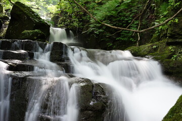waterfall in the Oirase Gorge　奥入瀬渓流の滝
