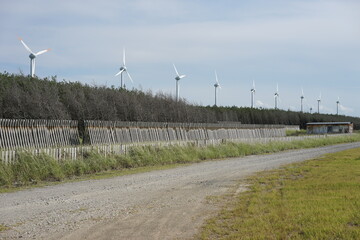 wind farm in the country