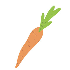 Isolated sketch of a carrot icon Flat design Vector