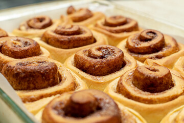 Homemade sweet cinnamon rolls. Close Up of freshly cooked buns.