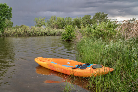 Fort Collins, CO, USA - June 27, 2022: Bellyak, prone kayak, in reeds at lake shore in Colorado, water recreation which combines the best aspects of kayaking and swimming.