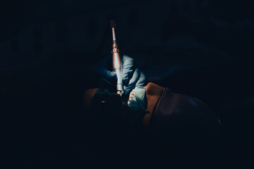 Dental mannequins phantom head model simulation training, dental model, dental training. Phantom...