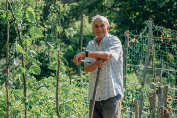 senior man in the orchard