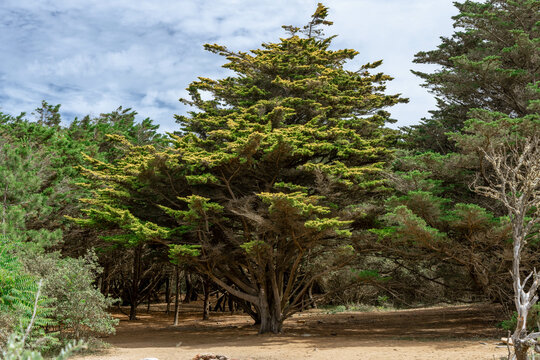 Lambert Bilder Durchsuchen 26,407 Archivfotos, und