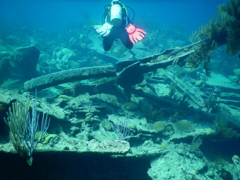 Diving Atlatic Reefs