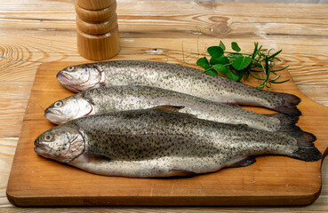 Raw Trout Isolated