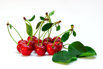 ripe red cherry with twig and leaves close-up on a white background