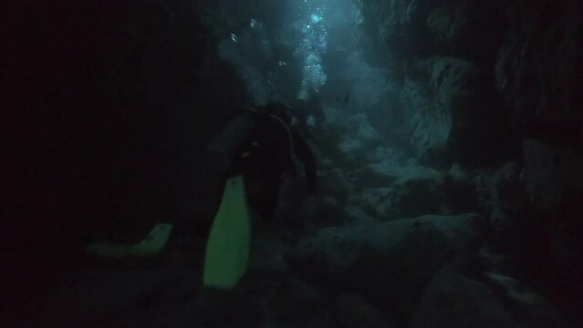 Divers in a cave in Fernando de Noronha sea, Brazil. Scuba diving, marine life	