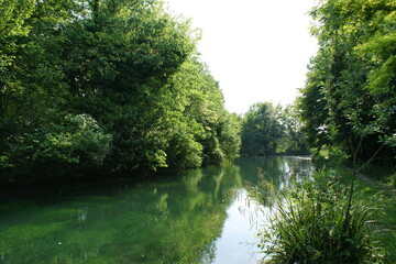 river in the park