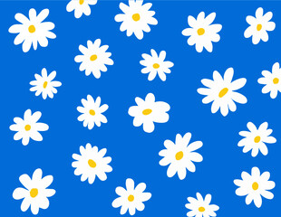 daisy white flowers in a blue background. White Daisies, Blue background